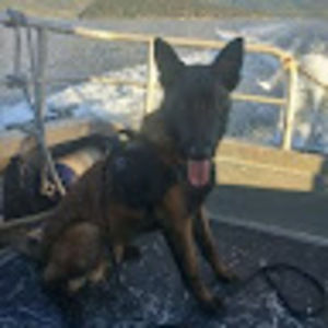 Meet your Posher, Kyle